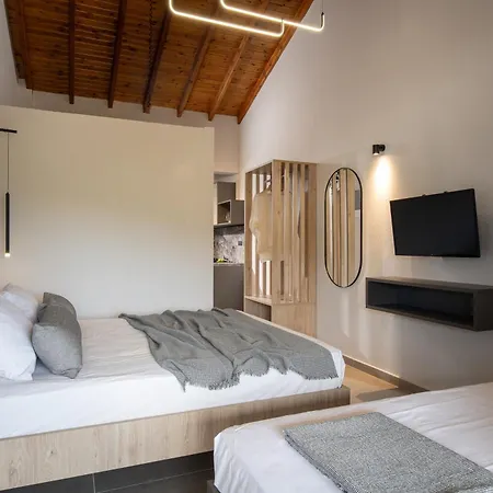 Erifili At Sarti Beach Apartments & Studios Exterior photo